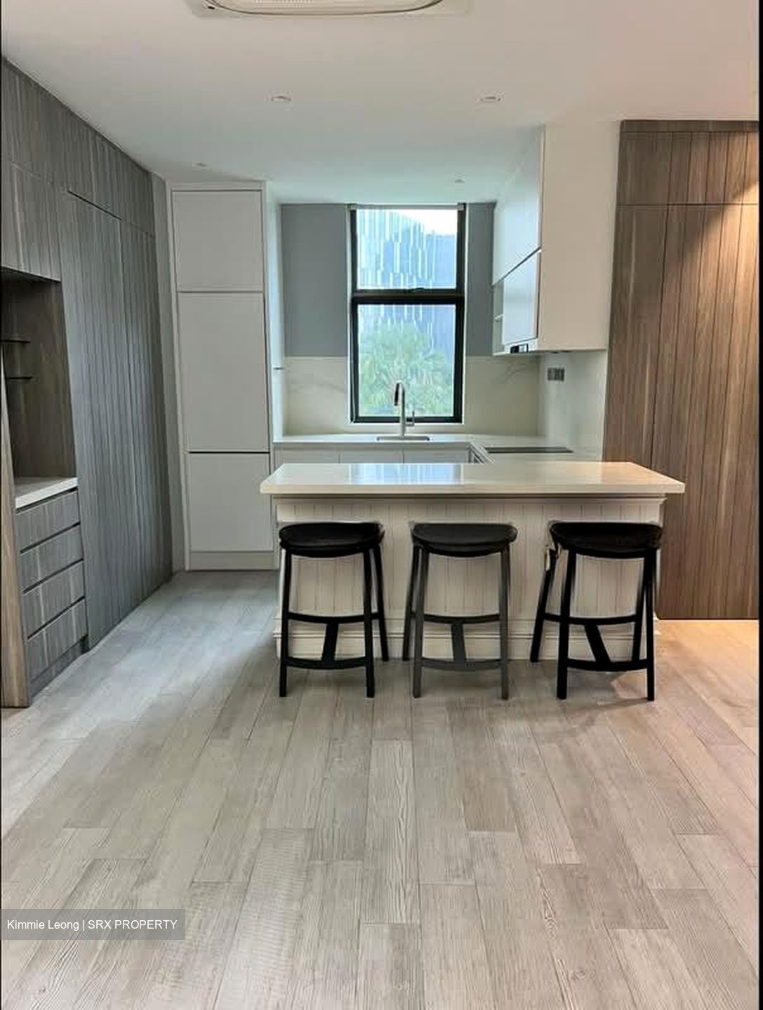 Gardenville (D10), Condominium #555909901
